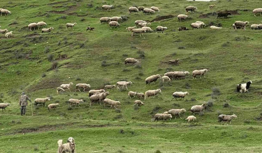 Eskişehir’de 6 bin yıllık sır: Katman katman ortaya çıkıyor