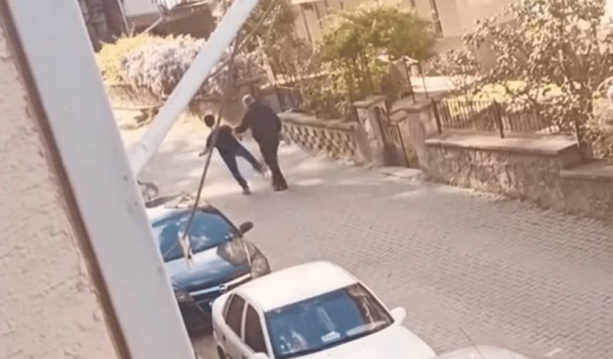 Eskişehir'de tepki çeken olay: Kediye tekme attı