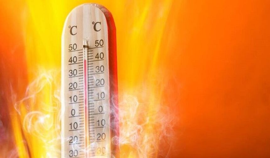 Uzmanlar havalar ısınınca uyardı: Bu 5 belirti varsa aman dikkat