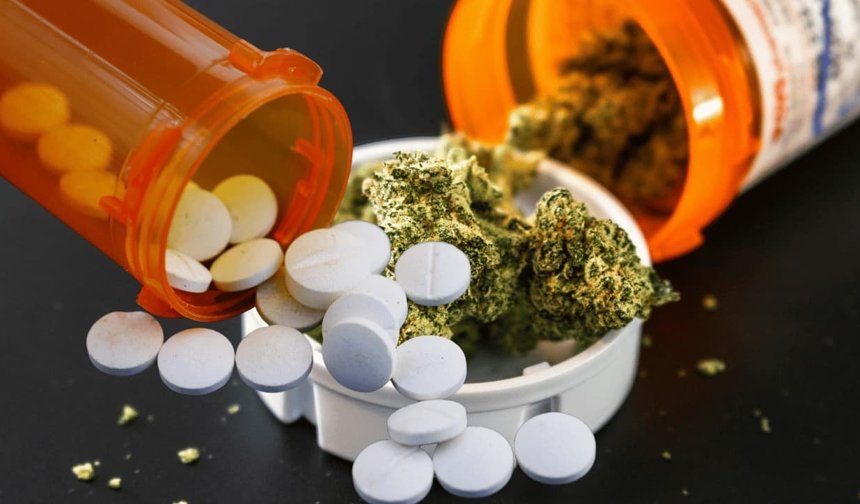 Eskişehir'de zehir tacirlerine darbe! 2 tondan fazla uyuşturucu 1 milyondan fazla hap ele geçirildi