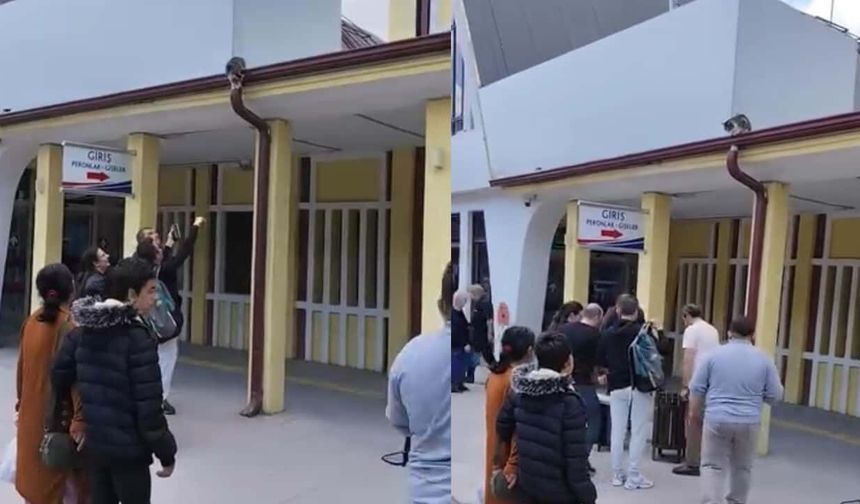 Tren garında mahsur kaldı: Eskişehir'de vatandaşlar kediyi işte böyle kurtardı