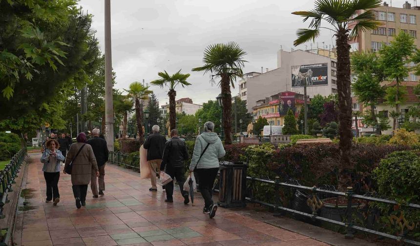 Köprübaşı'nın meşhur palmiyeleri geri döndü