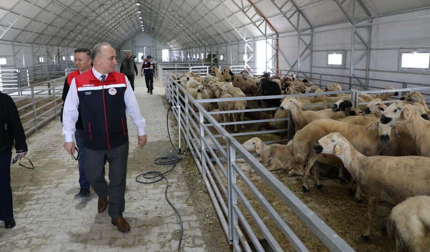 Eskişehir'de kurban satış ve kesim alanları denetlendi: 90 bin 671 kurbanlık tespit edildi