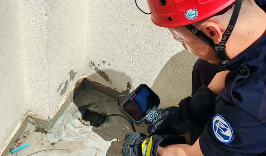 Su gider borusunda mahsur kaldılar: Eskişehir'de 3 yavru kedi itfaiye tarafından kurtarıldı