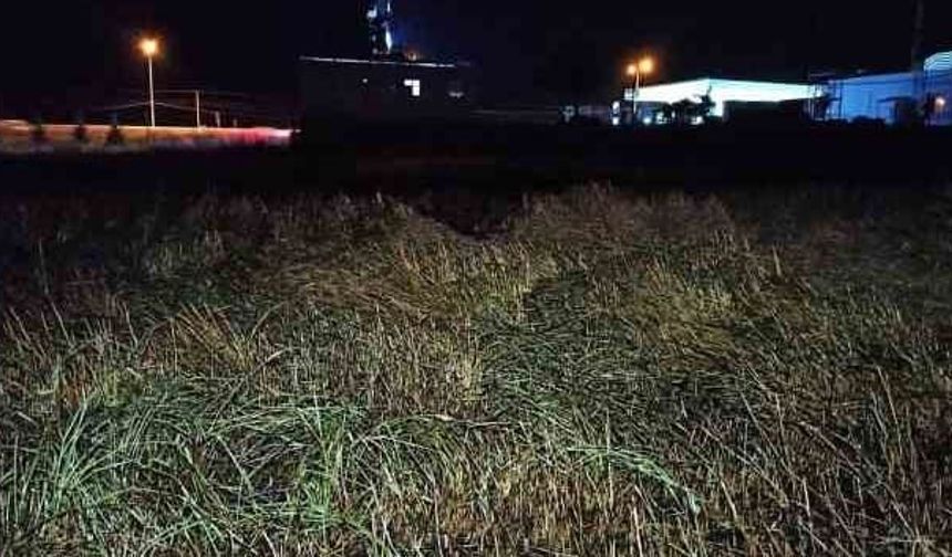 Eskişehir'de korkunç olay: Tarlada darp edilen kadın yaşam mücadelesi veriyor