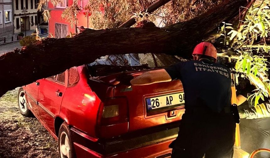 Eskişehir'de otomobilin üzerine dev ağaç dalı düştü