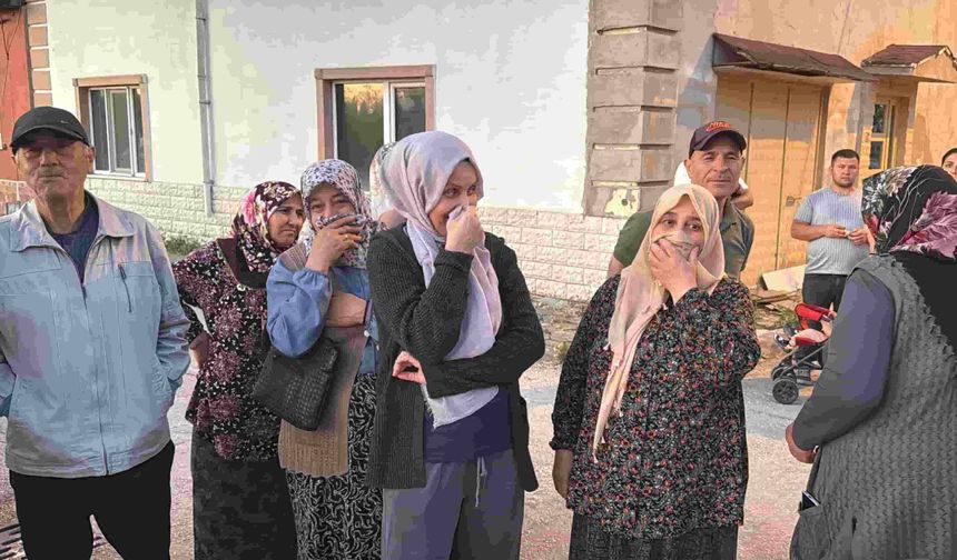 Eskişehir'deki mahalleyi haşereler sardı: Vatandaşlar kokudan duramaz oldu