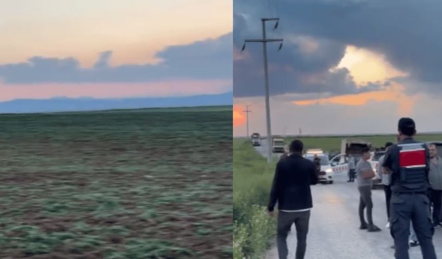 Eskişehir'de husumetlisinin 200 dönümlük ekili tarlasını talan etti