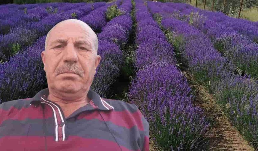 Eskişehir'de lavanta üretimine öncülük eden Muhsin Erkmen hayatını kaybetti