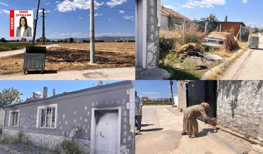 Eskişehir'de mahalle sakinleri isyan etti: “Evimizin önünden 30 kene topladık"