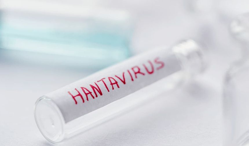 Hanta virüs yeniden gündemde: Uzmanlardan uyarı geldi