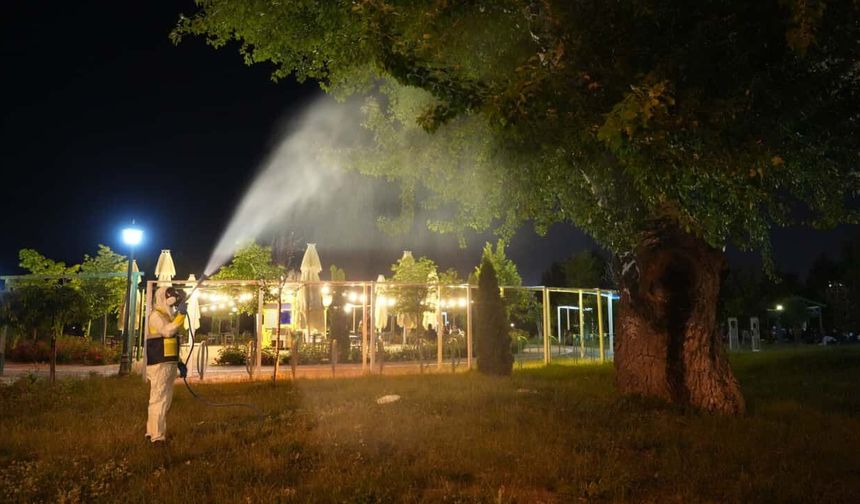 Park ve mesire alanları mercek altında: Eskişehir'de kene ve sineklere karşı ilaçlama sürüyor