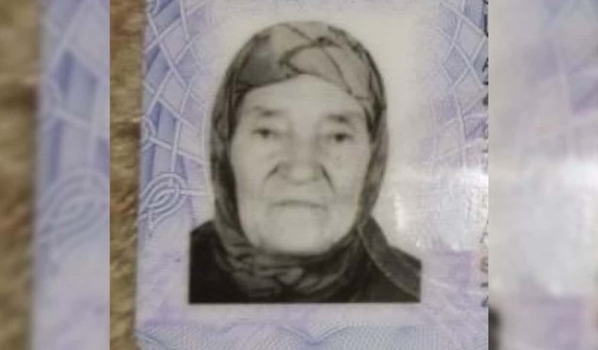 Eskişehir'de kaybolan 85 yaşındaki kadın her yerde aranıyor