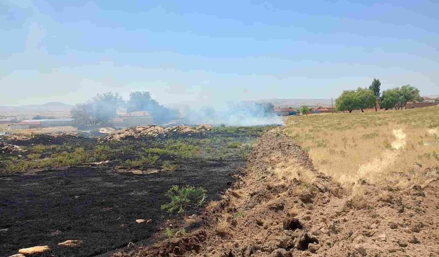 Eskişehir'in kırsalında korkutan yangın: Ormana metreler kalmıştı