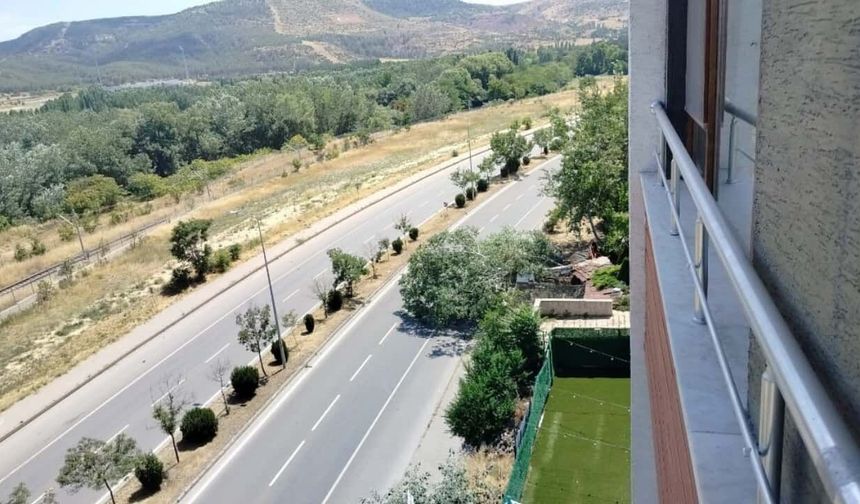 Eskişehir'de ağaç devrildi: Yol araç geçişine kapandı