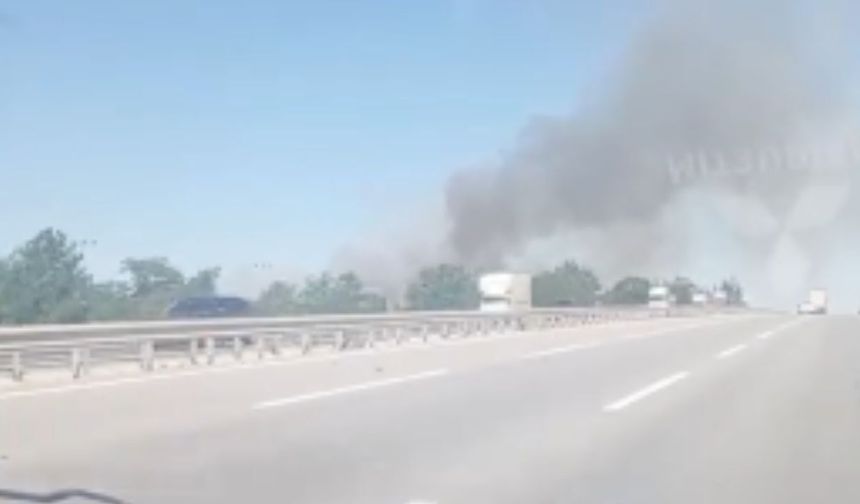 Eskişehir - Bursa yolunda yangın
