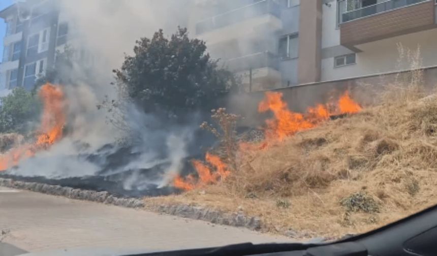 Eskişehir'de yerleşim yerine yakın alanda yangın paniği