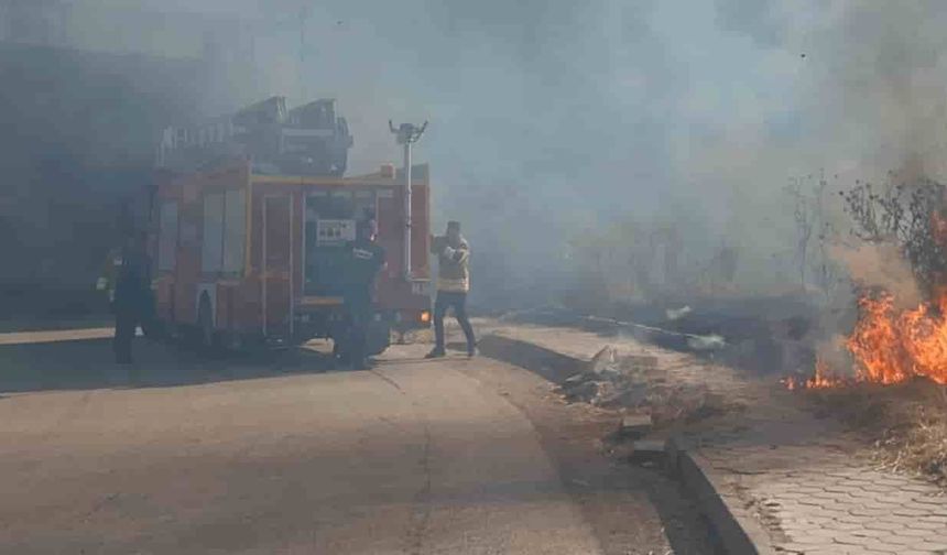 Eskişehir'de çocukların attığı torpil yangın çıkardı