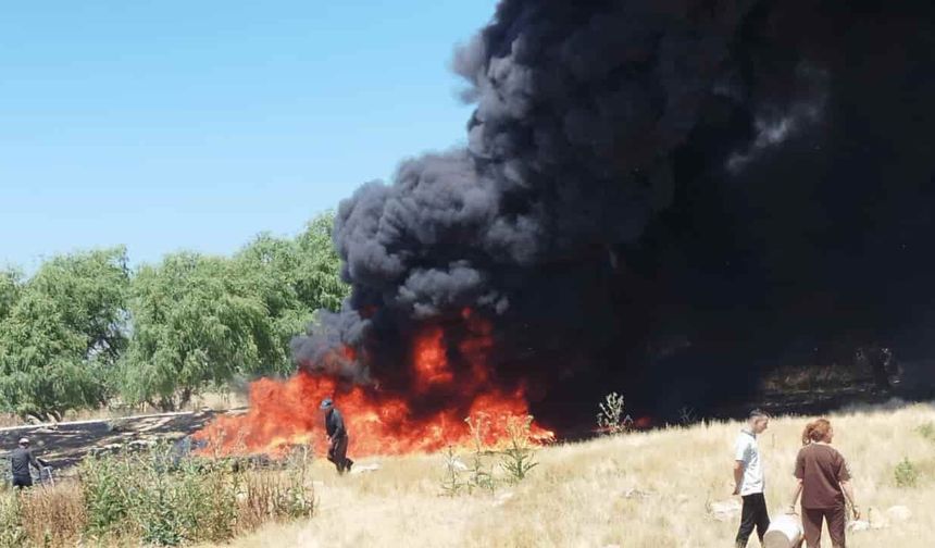 Eskişehir'de sigara izmariti faciaya yol açtı: Köylüler seferber oldu