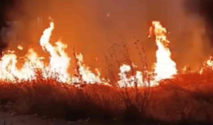 Eskişehir'de yangın: Alevler kısa sürede büyüdü