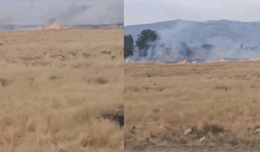 Eskişehir'deki arsada yangın