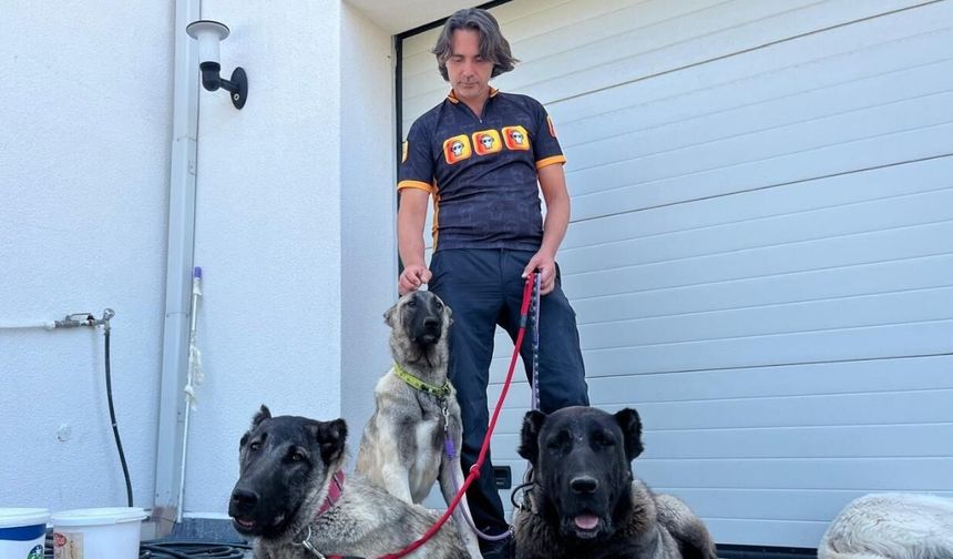 Türk çoban köpeklerini Eskişehir'den dünyaya tanıtıyor