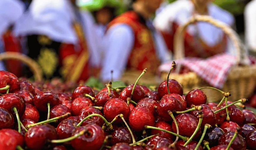 Eskişehir'in 46 yıllık festivali bugün başlıyor