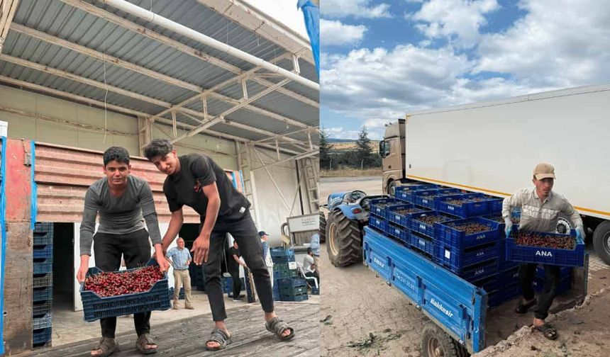 Rusya, İngiltere, Irak’a gidiyor… Malıç’a bir milyar getiriyor