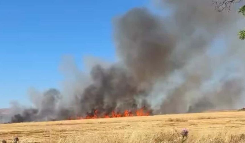 Eskişehir'de yangın: Arazi alevlere teslim oldu
