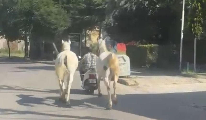 Yürek yakan görüntüler! Atları motosikletine bağlayarak ilerledi