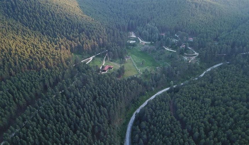 Eskişehir'deki dev orman parkı 20 yıllığına kiraya verilecek