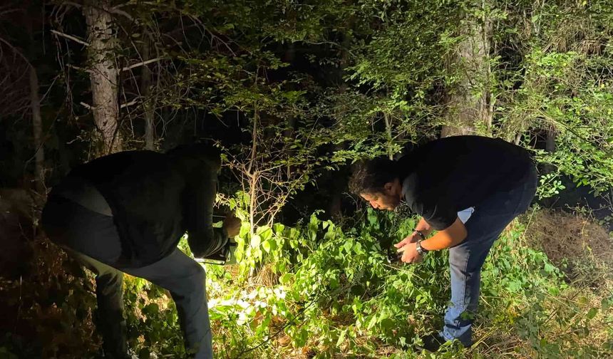 Ormanda silahlı saldırı: 24 yaşındaki genç vuruldu