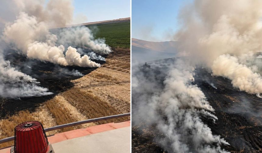 Alpu'da korkutan yangın