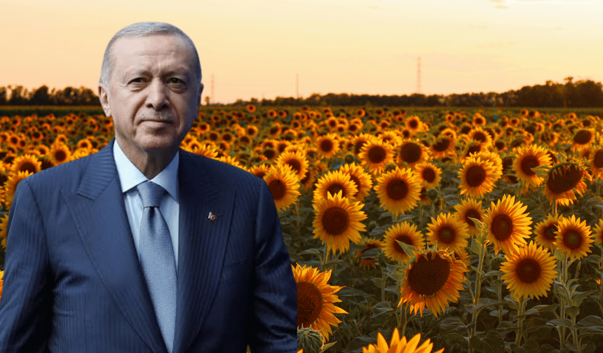 Erdoğan'ın çağrısı sonrası ektiler! Çiftçiler üretimi 2 katına çıkardı