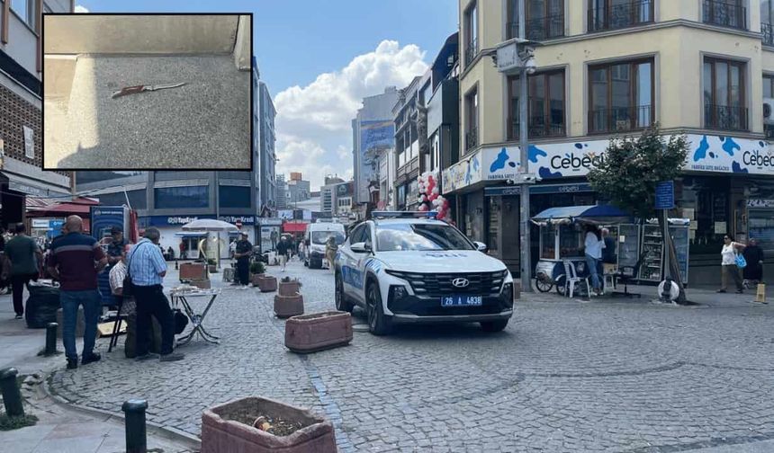Eskişehir'de alkollü şahıs hamama alınmayınca çalışanı takip edip bıçakladı
