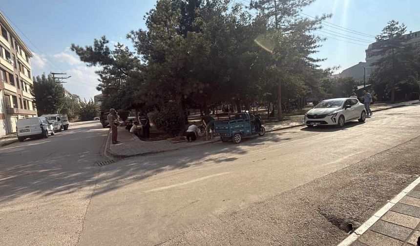 Eskişehir'de döner bıçağıyla dehşet saçmıştı: Saldırgan yakalandı