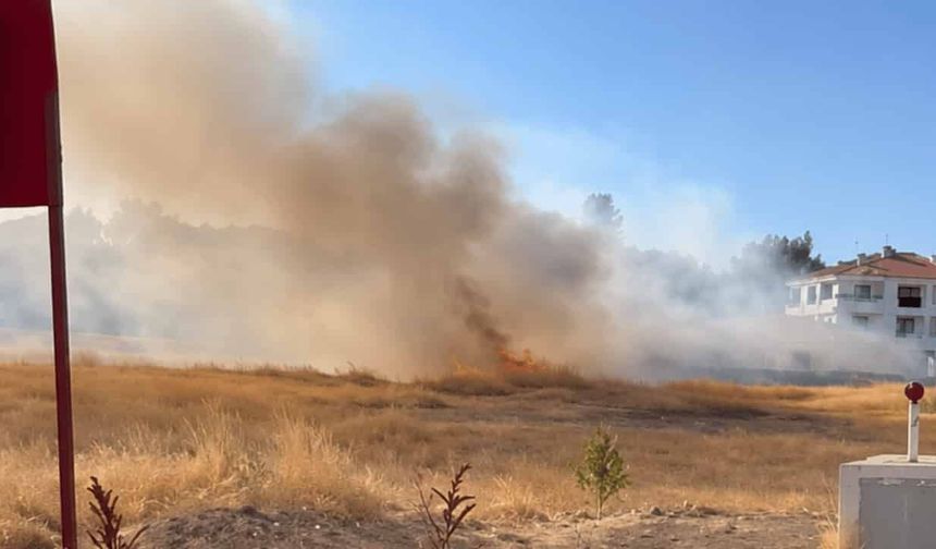 Eskişehir'de yerleşim yerine yakın alanda yangın
