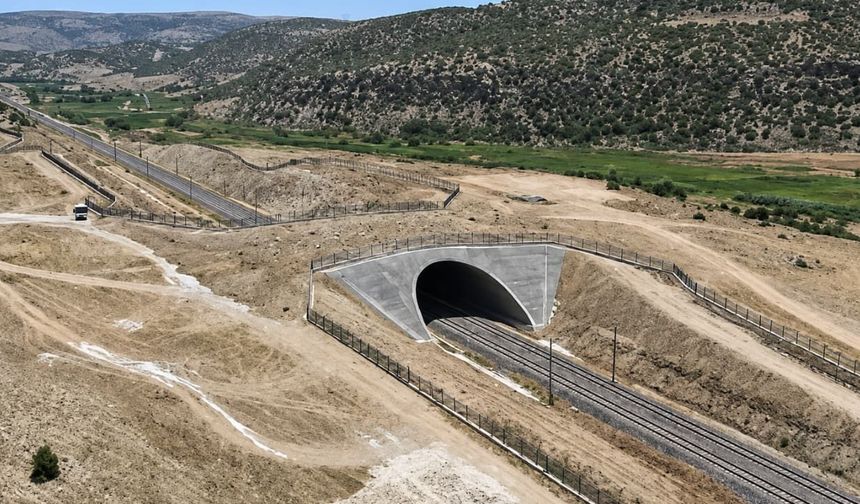 Eskişehir’deki 2 bin 500 metrekarelik ekolojik köprü örnek oldu