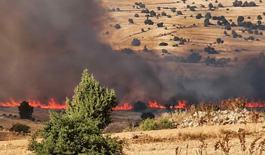 Seyitgazi'de yangın çıktı: Alevler rüzgarın etkisiyle yayıldı