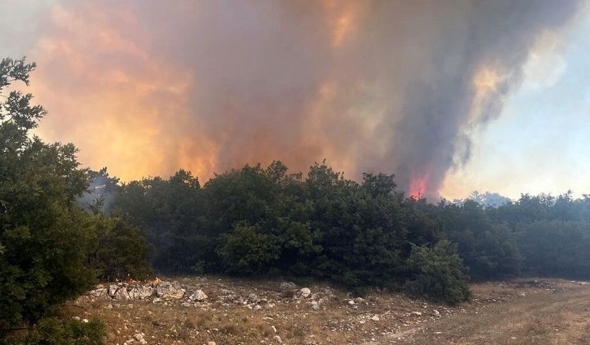 Bilanço açıklandı: Eskişehir’de 2 ayda 1079 yangın