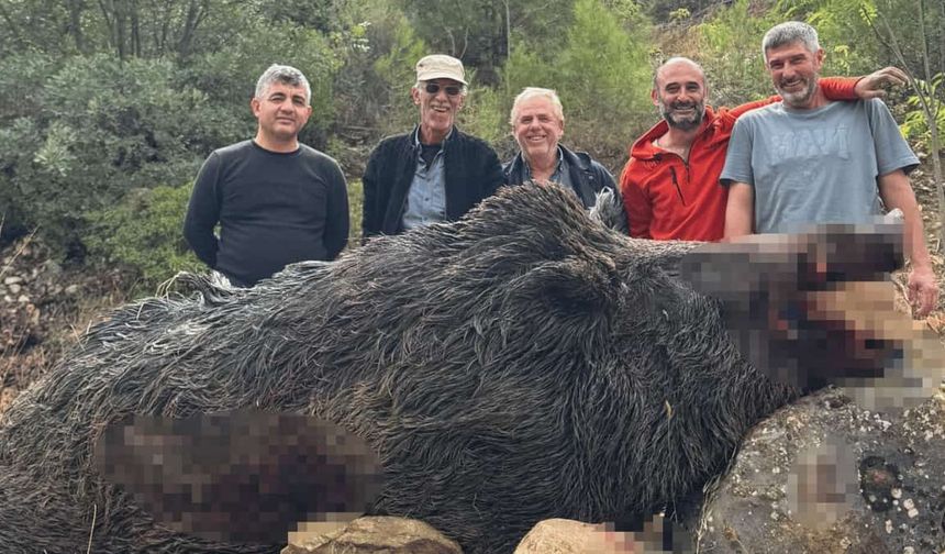 Tarlaları talan ediyordu: Çiftçiler yakaladı, tam 350 kilo