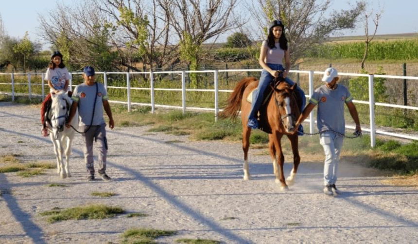 Mahmudiye Belediyesi duyurdu: At Binme Maneji’nin kullanım saatleri güncellendi