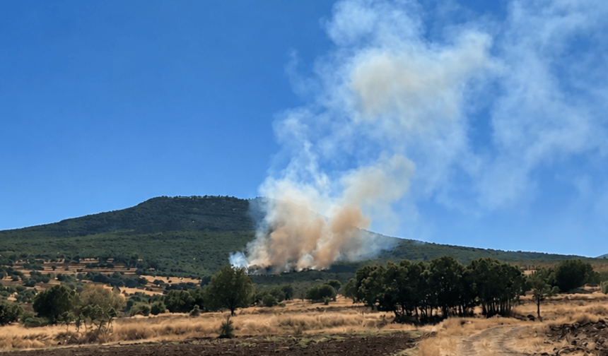 Sivrihisar'da ormanlık alanda yangın! Ekiplerin müdahalesi sürüyor