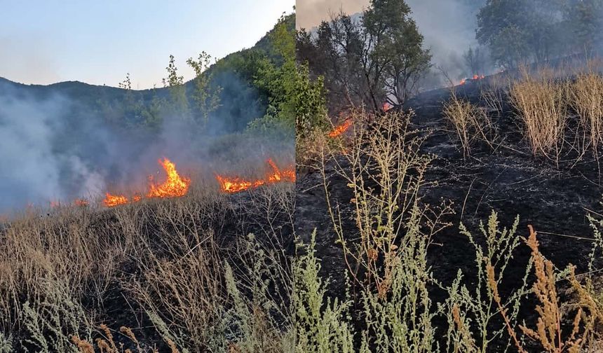 Eskişehir'de arazi yangını: Jandarma ve itfaiye ekipleri sevk edildi