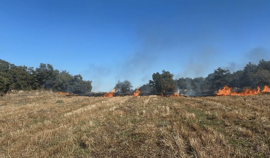 Eskişehir’de ormanlık alanda yangın: Yardım çağrısı yapıldı