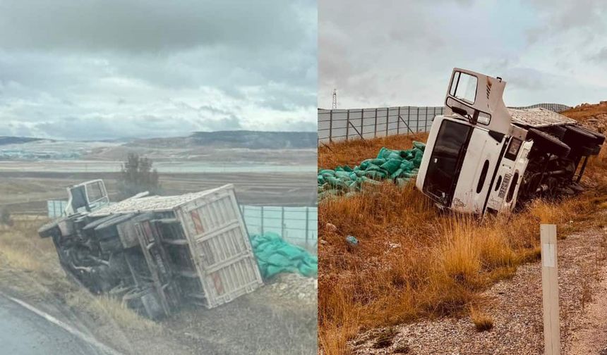 Seyitgazi’de kontrolden çıkan kamyon şarampole devrildi