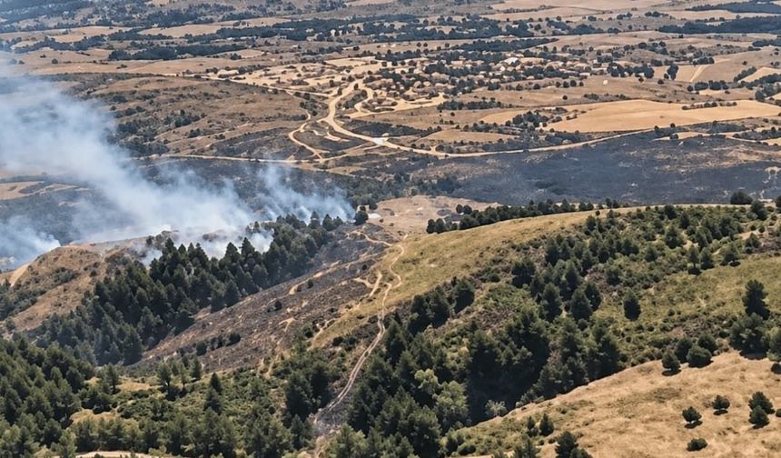Eskişehir’de ormanlık alan alevlere teslim olmuştu: Kontrol altına alındı