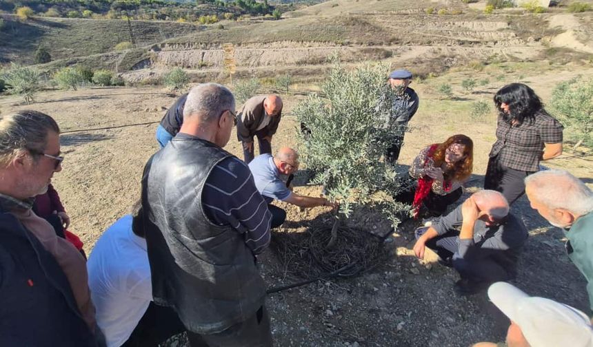 Sarıcakaya'da zeytin üreticilerine uygulamalı eğitim verildi