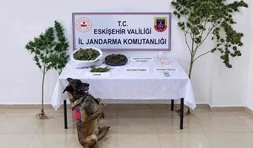 Eskişehir'de uyuşturucu operasyonu: 1 şüpheli tutuklandı