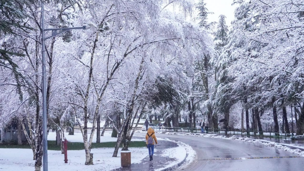 Anadolu Üniversitesi'nde kar manzaraları